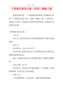 大型婚礼策划方案（实例）精编3篇