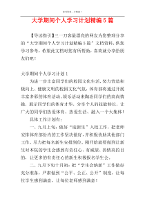 大学期间个人学习计划精编5篇