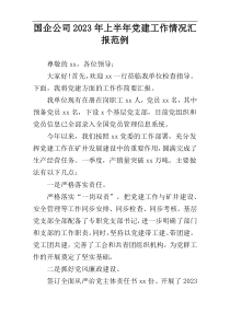 国企公司2023年上半年党建工作情况汇报范例