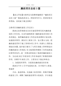 廉政项目总结3篇