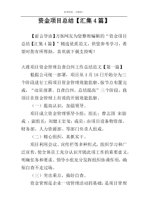 资金项目总结【汇集4篇】