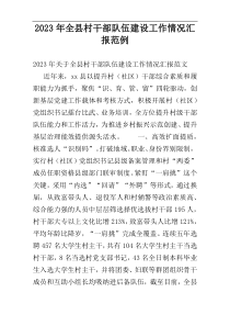 2023年全县村干部队伍建设工作情况汇报范例