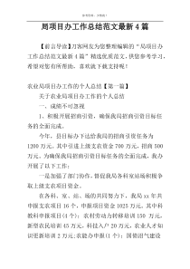 局项目办工作总结范文最新4篇