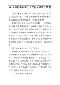 2023年打非治违个人工作总结范文范例