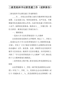 二级党组织书记抓党建工作（述职报告）