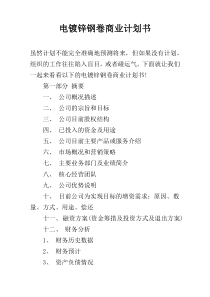 电镀锌钢卷商业计划书