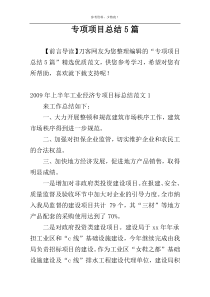 专项项目总结5篇