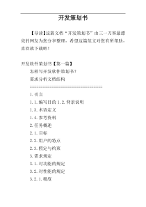 开发策划书