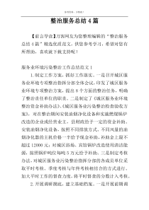 整治服务总结4篇