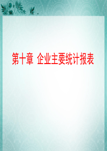 第十章企业主要统计报表
