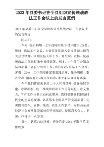2023年县委书记在全县组织宣传统战政法工作会议上的发言范例