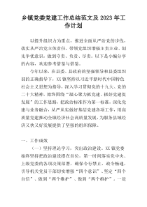 乡镇党委党建工作总结范文及2023年工作计划