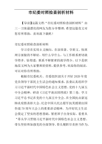 市纪委对照检查剖析材料
