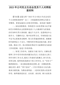 2023年公司民主生活会党员个人对照检查材料