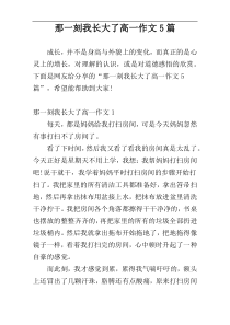 那一刻我长大了高一作文5篇