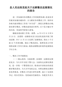 县人民法院党组关于巡察整改进展情况的报告