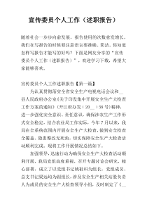 宣传委员个人工作（述职报告）