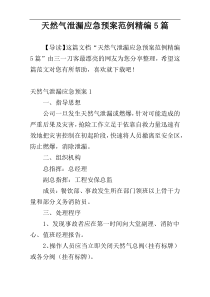 天然气泄漏应急预案范例精编5篇