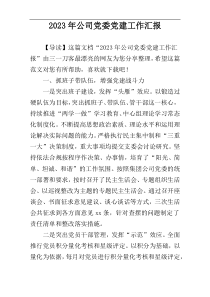 2023年公司党委党建工作汇报