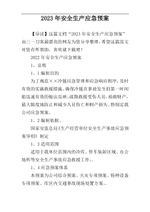 2023年安全生产应急预案