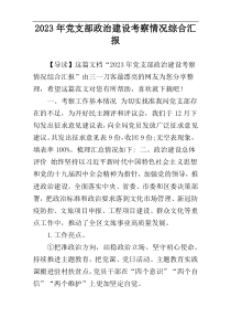 2023年党支部政治建设考察情况综合汇报