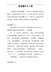 捉迷藏作文5篇