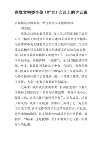 在旗文明委全体（扩大）会议上的讲话稿
