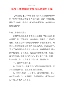 年度工作总结范文报告范例实用3篇