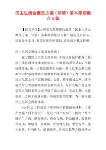 民主生活会整改方案（详情）基本原则集合5篇