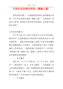 大学生实训报告范例（精编5篇）