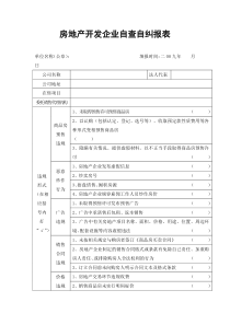 房地产开发企业自查自纠报表