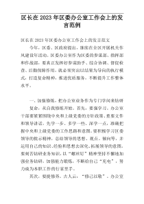 区长在2023年区委办公室工作会上的发言范例