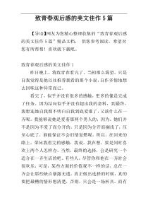 致青春观后感的美文佳作5篇