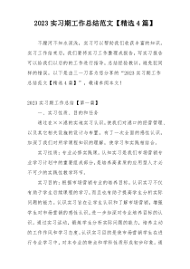 2023实习期工作总结范文【精选4篇】