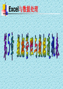 数据管理与Excel数据透视表