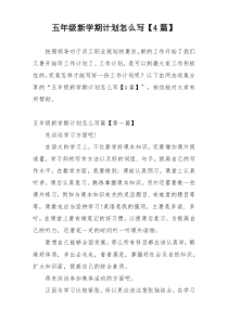 五年级新学期计划怎么写【4篇】