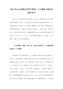 2023年办公室副主任学习党的二20十大精神心得体会2000字文