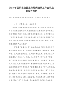 2023年县长在全县宣传组织统战工作会议上的发言范例