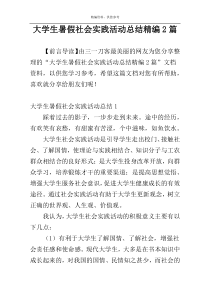 大学生暑假社会实践活动总结精编2篇