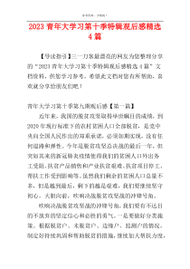 2023青年大学习第十季特辑观后感精选4篇