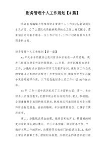 财务管理个人工作规划【4篇】