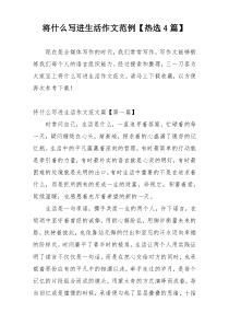 将什么写进生活作文范例【热选4篇】