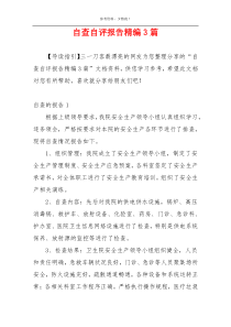 自查自评报告精编3篇