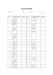 私营企业资金平衡表