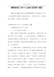 精准扶贫工作个人总结【范例5篇】