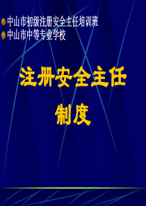 注册安全主任制度(new)