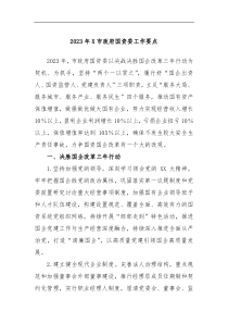 2023年X市政府国资委工作要点