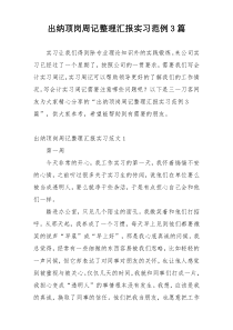出纳顶岗周记整理汇报实习范例3篇