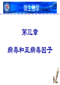 复旦微生物学课件5- 病毒和亚病毒因子（1）