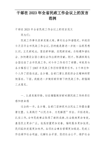 干部在2023年全省民政工作会议上的发言范例